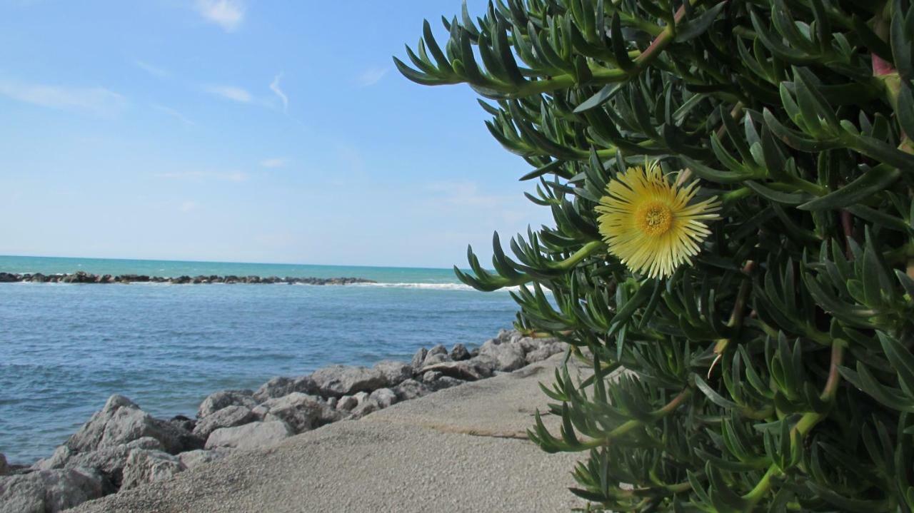 Sapori Di Mare Appartement Trappeto  Buitenkant foto